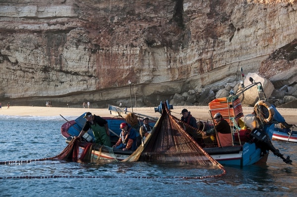 12480 5d3af887 bc52 4e23 9377 9b0592f5d620 pesca