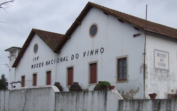 14751 175ca270 7673 4ea1 8e28 1d761f6337df museu do vinho