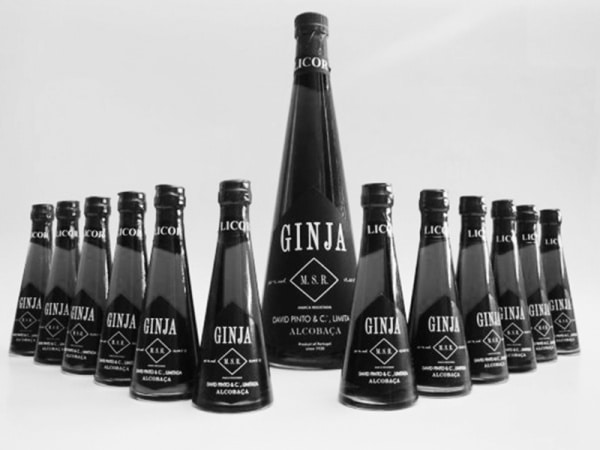 31613 ginja 2