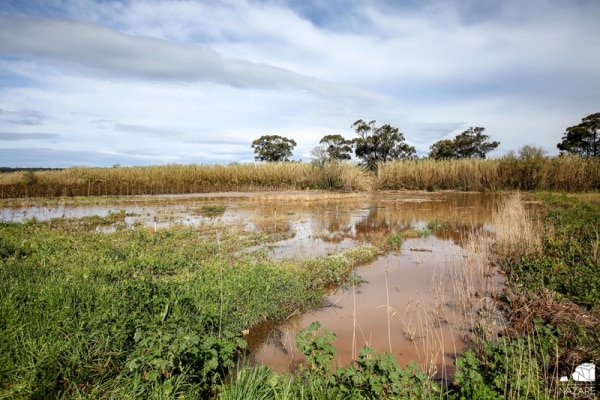 31743 rio da areia